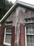 Soft Pressure Washing