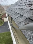 Professional Roof Cleaning in Pennsylvania